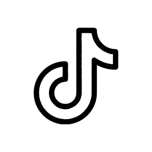 TikTok icon